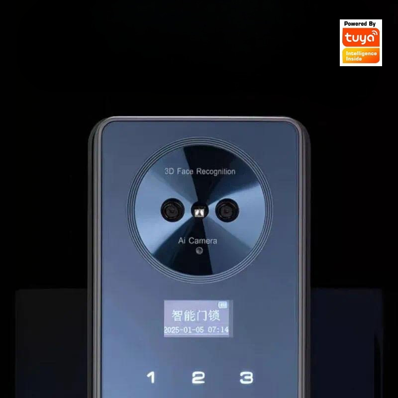 Smart Lock Facial Recognition  - огляд і ціна Smart Door Lock Wifi