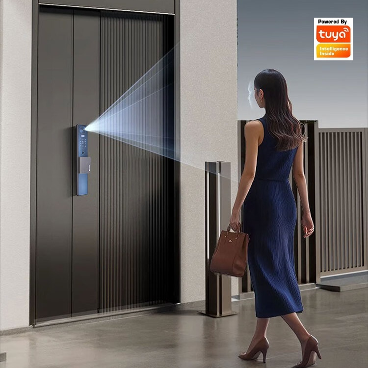 Smart Lock Facial Recognition  - огляд і ціна Smart Door Lock Wifi