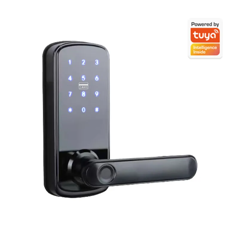 Single Tongue Password Fingerp - огляд і ціна Smart Door Lock Wifi