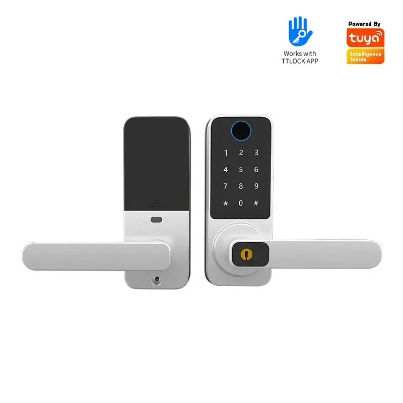 Single Tongue Password Fingerp - огляд і ціна Smart Door Lock Wifi