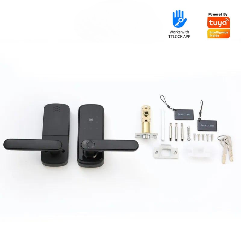 Tuya Wiif Password Fingerprint - огляд і ціна Smart Door Lock Wifi